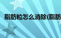 脂肪粒怎么消除(脂肪粒怎么消除在脸上的)