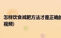 怎样饮食减肥方法才是正确的(怎样饮食减肥方法才是正确的视频)