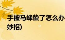 手被马蜂蛰了怎么办(手被马蜂蛰了怎么办小妙招)