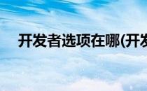 开发者选项在哪(开发者选项在哪里打开)