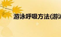 游泳呼吸方法(游泳呼吸方法有几种)