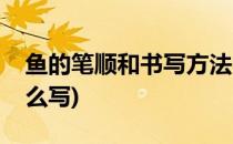 鱼的笔顺和书写方法(鱼的笔顺和书写方法怎么写)