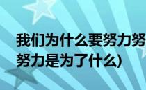 我们为什么要努力努力又是为了什么(我们的努力是为了什么)