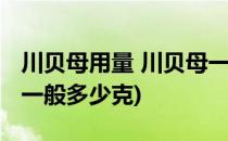 川贝母用量 川贝母一次吃多少克(川贝母用量一般多少克)
