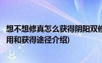 想不想修真怎么获得阴阳双修秘诀(想不想修真阴阳双修决作用和获得途径介绍)