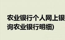 农业银行个人网上银行怎么查询明细(如何查询农业银行明细)