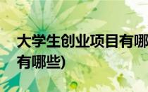 大学生创业项目有哪些(扶持大学生创业项目有哪些)