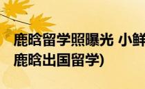 鹿晗留学照曝光 小鲜肉如何护肤留住高颜值(鹿晗出国留学)