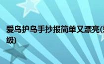 爱鸟护鸟手抄报简单又漂亮(爱鸟护鸟手抄报简单又漂亮四年级)