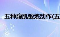 五种腹肌锻炼动作(五种腹肌锻炼动作视频)