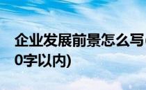 企业发展前景怎么写(企业发展前景怎么写500字以内)