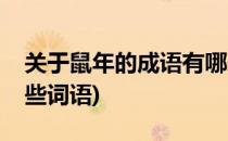 关于鼠年的成语有哪些(关于鼠年的成语有哪些词语)
