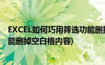EXCEL如何巧用筛选功能删掉空白格(excel如何巧用筛选功能删掉空白格内容)