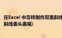 在Excel 中怎样制作双重斜线表头(在excel 中,怎样制作双重斜线表头表尾)