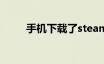 手机下载了steam打开黑屏怎么办