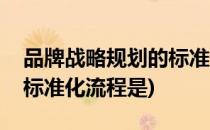 品牌战略规划的标准化流程(品牌战略规划的标准化流程是)