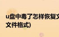 u盘中毒了怎样恢复文件(u盘中毒了怎样恢复文件格式)