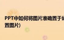 PPT中如何将图片准确置于幻灯片的(ppt在所有幻灯片上放置图片)