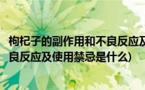 枸杞子的副作用和不良反应及使用禁忌(枸杞子的副作用和不良反应及使用禁忌是什么)