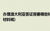 办理澳大利亚签证需要哪些材料(办理澳大利亚签证需要哪些材料呢)