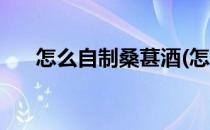怎么自制桑葚酒(怎么自制桑葚酒好喝)