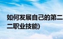 如何发展自己的第二职业(如何发展自己的第二职业技能)