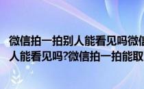 微信拍一拍别人能看见吗微信拍一拍能取消吗(微信拍一拍别人能看见吗?微信拍一拍能取消吗怎么弄)