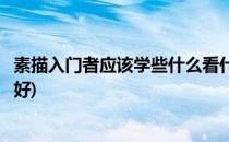 素描入门者应该学些什么看什么书注意什么(学素描看什么书好)