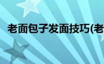 老面包子发面技巧(老面包子发面技巧全程)
