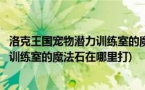 洛克王国宠物潜力训练室的魔法石在哪里(洛克王国宠物潜力训练室的魔法石在哪里打)