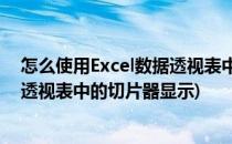 怎么使用Excel数据透视表中的切片器(怎么使用excel数据透视表中的切片器显示)