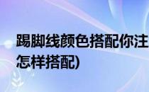 踢脚线颜色搭配你注意到了吗(踢脚线的颜色怎样搭配)