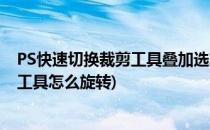 PS快速切换裁剪工具叠加选项并旋转方向的快捷键(ps裁剪工具怎么旋转)