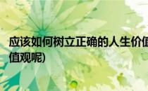 应该如何树立正确的人生价值观(应该如何树立正确的人生价值观呢)