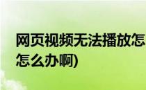 网页视频无法播放怎么办(网页视频无法播放怎么办啊)
