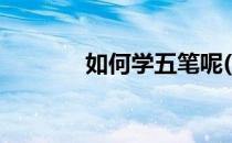 如何学五笔呢(五笔怎么自学)