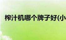 榨汁机哪个牌子好(小型榨汁机哪个牌子好)