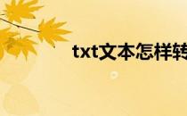 txt文本怎样转换为JAR格式