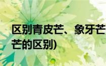 区别青皮芒、象牙芒与金煌芒(金煌芒和象牙芒的区别)