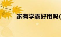 家有学霸好用吗(家有学霸好不好)