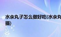 水汆丸子怎么做好吃(水汆丸子怎么做好吃,水汆丸子视频拍摄)