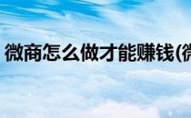 微商怎么做才能赚钱(微商怎么做才能赚钱快)
