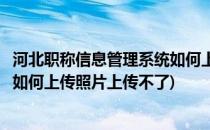 河北职称信息管理系统如何上传照片(河北职称信息管理系统如何上传照片上传不了)