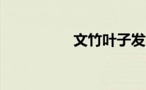 文竹叶子发黄怎么挽救