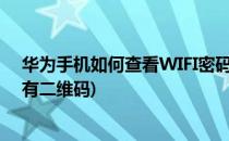 华为手机如何查看WIFI密码(华为手机如何查看wifi密码没有二维码)