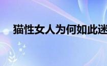 猫性女人为何如此迷人(女人都是有猫性)