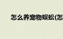 怎么养宠物蜈蚣(怎么养宠物蜈蚣幼崽)