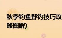秋季钓鱼野钓技巧攻略(秋季钓鱼野钓技巧攻略图解)