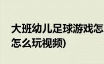 大班幼儿足球游戏怎么玩(大班幼儿足球游戏怎么玩视频)