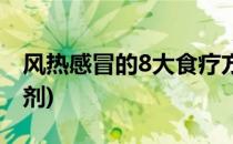 风热感冒的8大食疗方(风热感冒的8大食疗方剂)